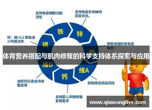 体育营养搭配与肌肉修复的科学支持体系探索与应用