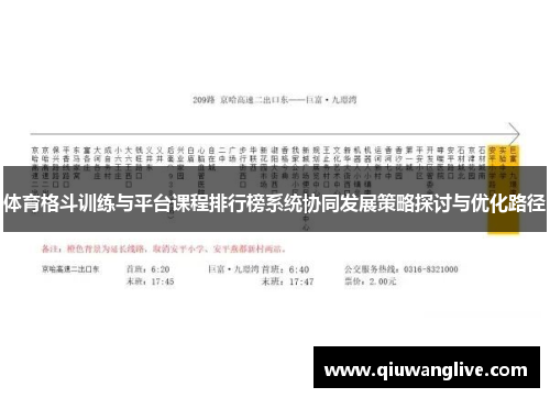 体育格斗训练与平台课程排行榜系统协同发展策略探讨与优化路径